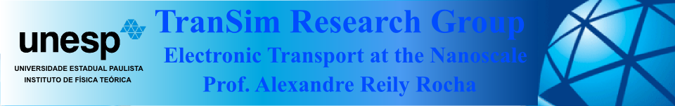 TranSim Research Group